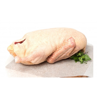 Սագի միս