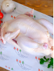 Թարմ-սառեցված մսամթերք Թարմ-սառեցված մսամթերք