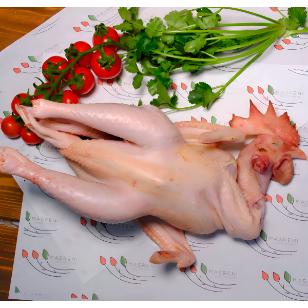 Տնական Աքլոր 